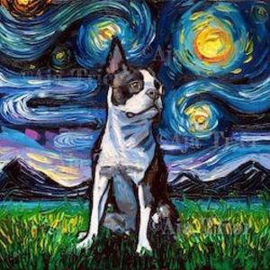 Meet your Posher, Morgan